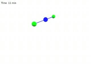 Watching the Zebrafish Cells Divide (12 of 17)