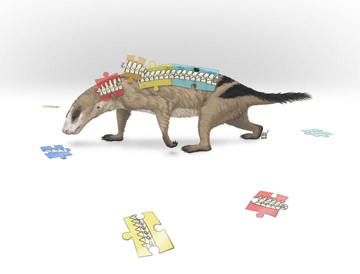 Thrinaxodon