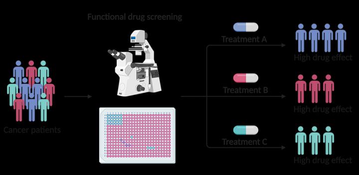 Functional Drug Screening