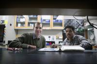 From Plants, UVA Extracts a Better Way to Determine What Genes Do