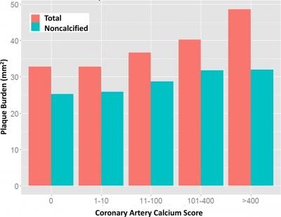 Total and Noncalcified Plaque Composition