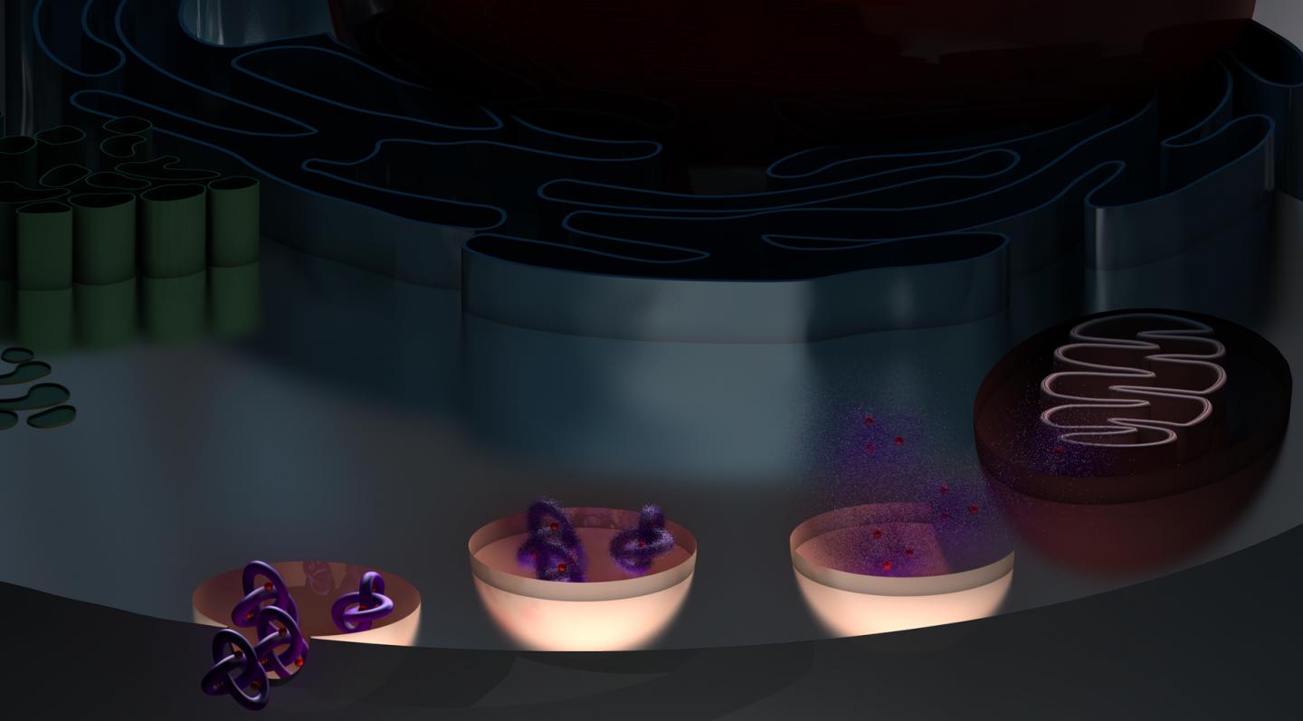 Researchers Develop Hybrid Molecules that Serve as a New Category of Anti-Cancer Agent (2 of 2)