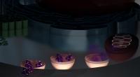 Researchers Develop Hybrid Molecules that Serve as a New Category of Anti-Cancer Agent (2 of 2)