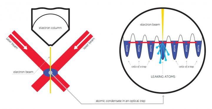 Antilaser for Bose-Einstein Condensate