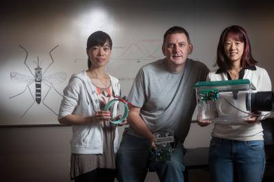 Researchers
