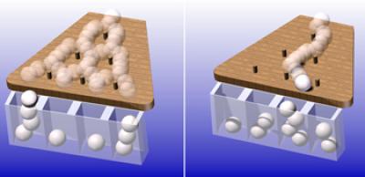 Galton Board
