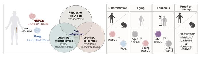 Nutrients and lipids shape bone marrow blood stem cells from health to aging and leukemia