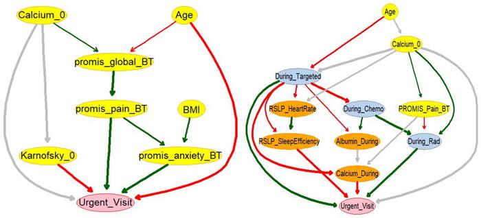 Bayesian network models
