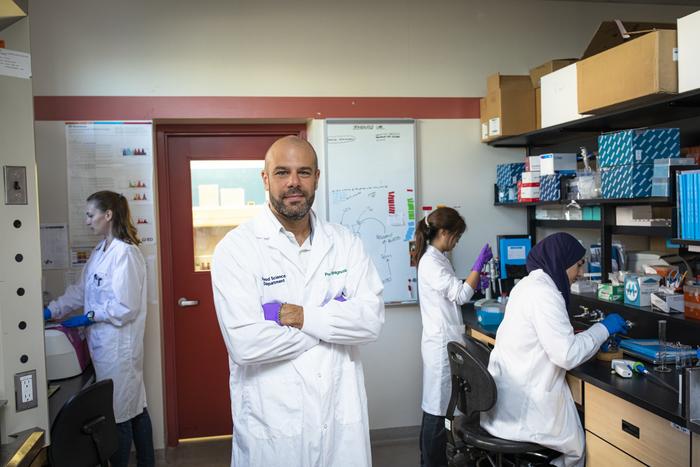Dr. Paul Spagnuolo