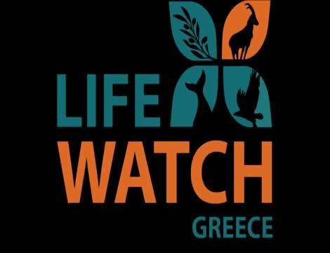 LifeWatchGreece Portal