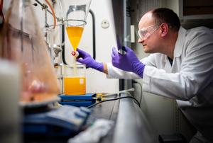 Low coefficient of thermal expansion molecules for polymers