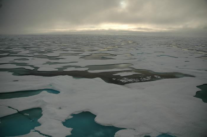 Arctic sea ice