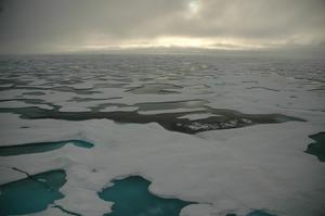 Arctic sea ice