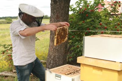 Matthew Webster in Beekeeper Outfit