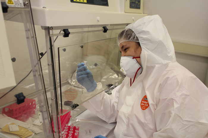Lead author Dr. Julia Kreiner performing DNA extractions