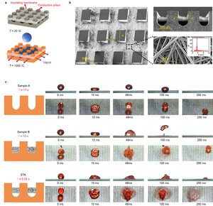 Structure illustration