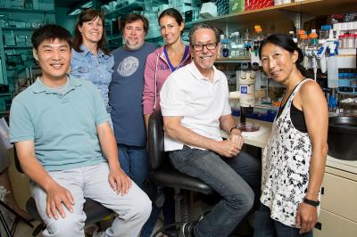 Evans Lab