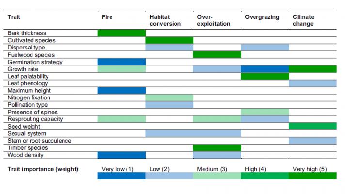 Tree Species Traits Linked to Risk Factors