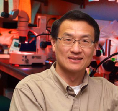 Dr. Lin Mei, Medical College of Georgia