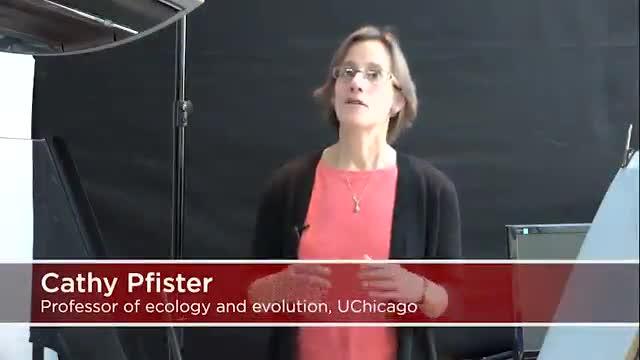 Cathy Pfister Discusses Kelp Study