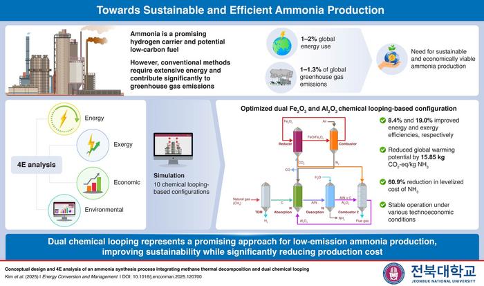 Proposed dual-chemical looping strategy