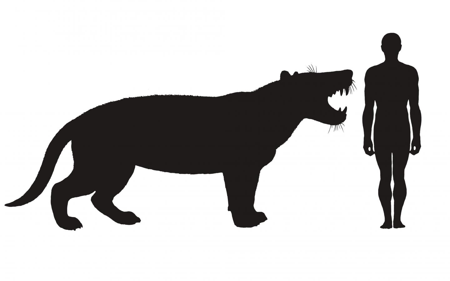 Simbakubwa Profile