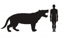 Simbakubwa Profile