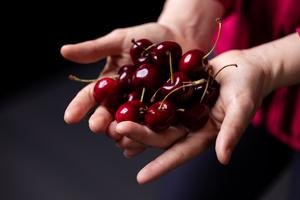 Cherries TAMU