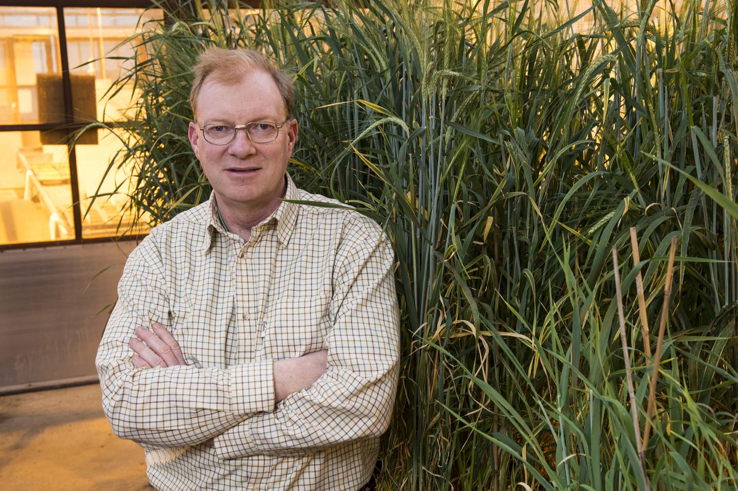 Professor James Brown, John Innes Centre