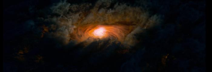 Central region of a supermassive black hole