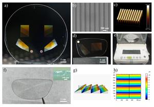 Figure 2 | Mass production and characteristics of the SiC waveguide and Fresnel lens.