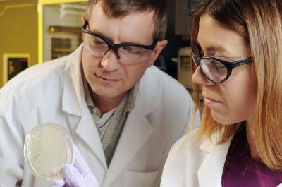 Evolving Antibodies