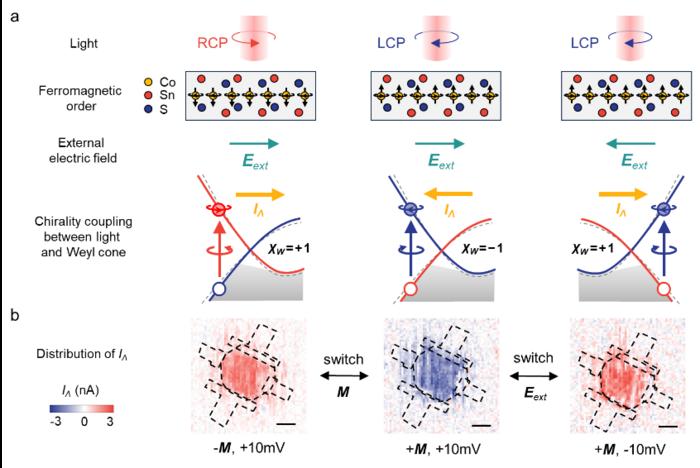 Tunable optical injection of chiral-polarized Weyl fermions.
