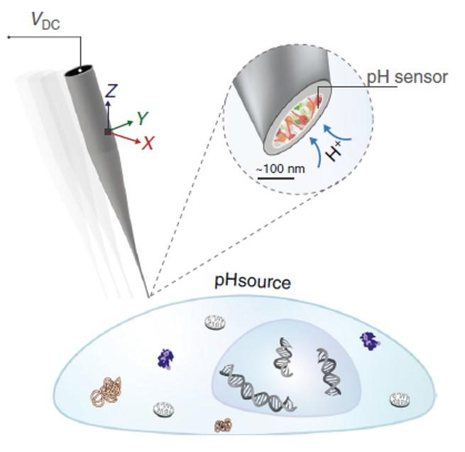 Double-Barrel Nanoprobe 