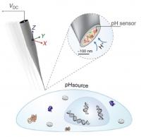 Double-Barrel Nanoprobe 