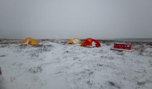 Field work conditions