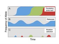 Scenarios for the Evolutionary Dynamics of Cheating Behaviors