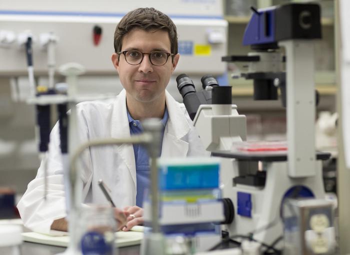 Immune system discovery reveals potential solution to Alzheimer’s