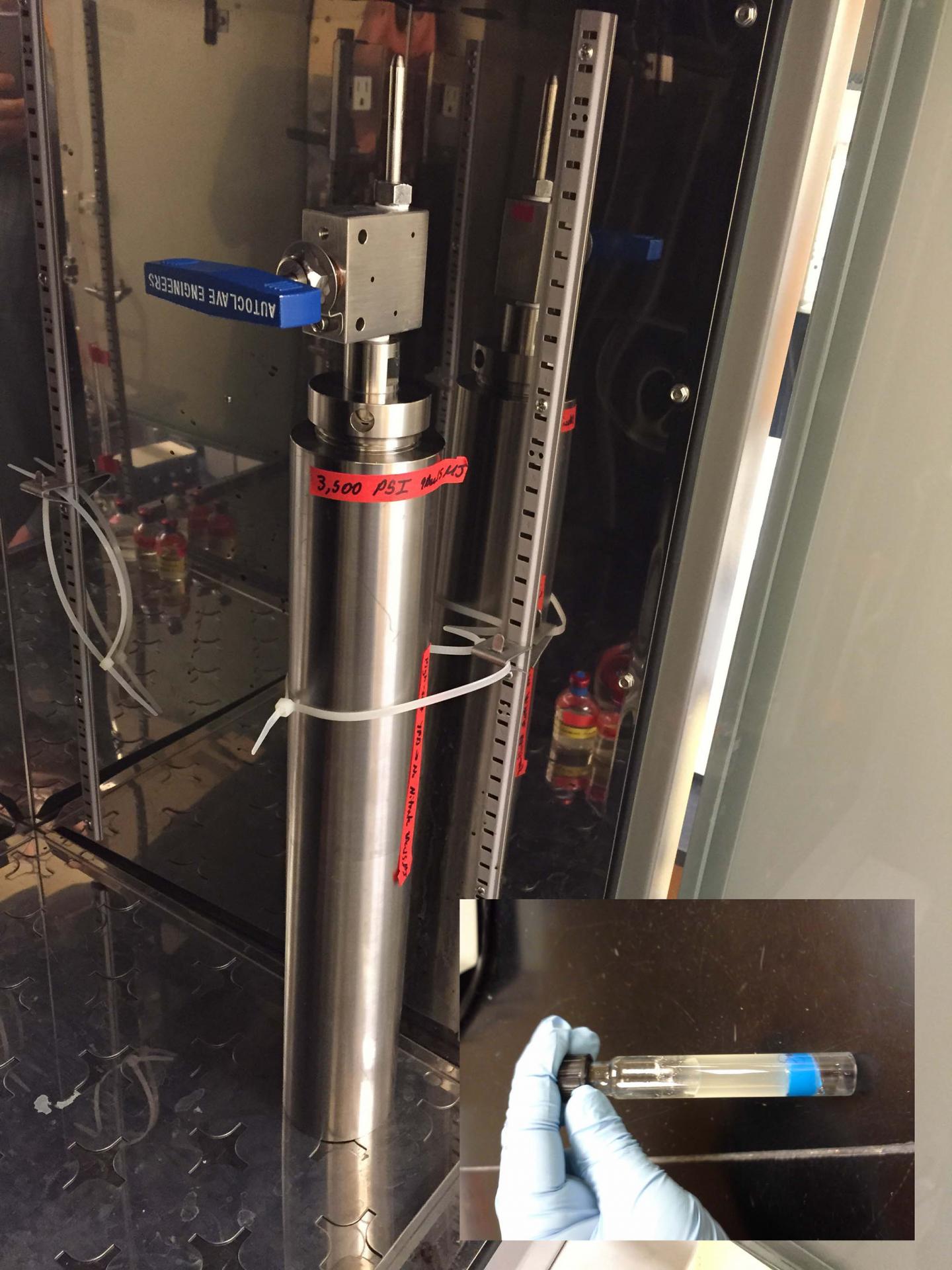 Bacteria Incubator