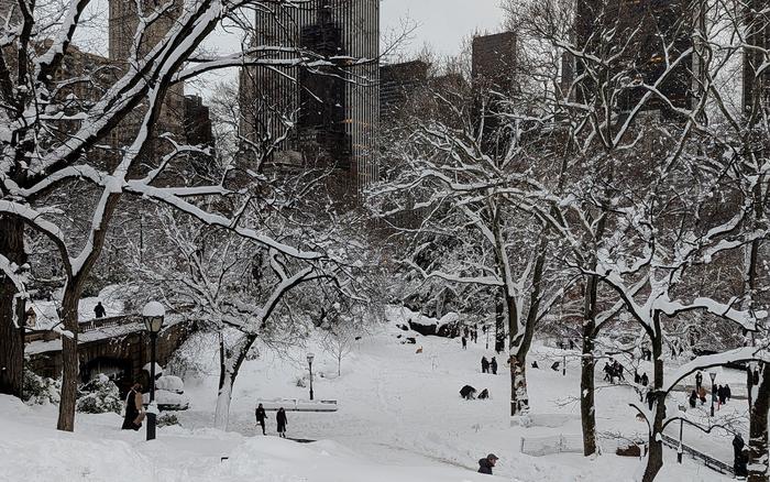 Snow in New York City's Central Park