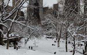 Snow in New York City's Central Park