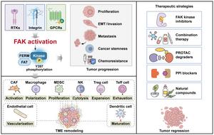 Expanding role of FAK in tumor progression and emerging therapeutic strategies