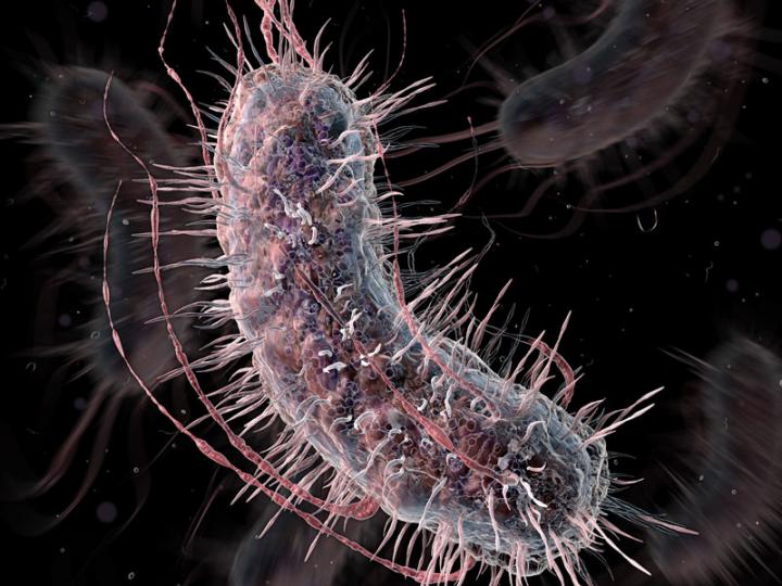 Modifying a Living Genome with Genetic Equivalent of "Search and Replace"