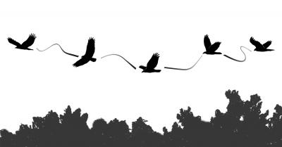 Contorted Soaring