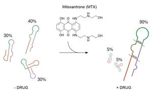 Stabilizing RNA shapes with Mitoxantrone