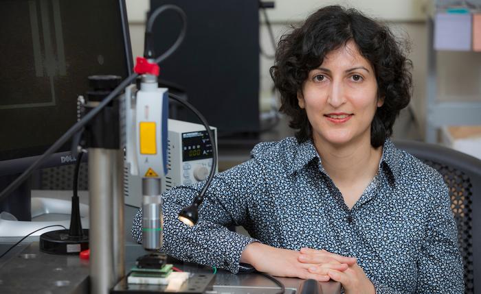 Shahrzad “Sherry” Towfighian