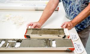 Sediment cores