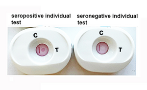 H1a - seropos and seroneg tests