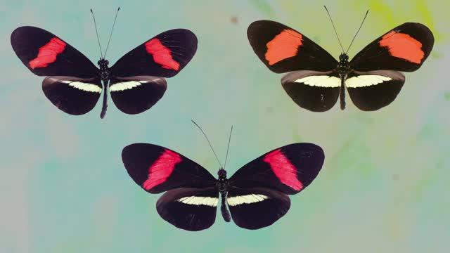 Is Evolution Predictable?