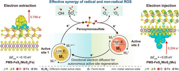 Self-sustaining charge circulation in the FeS2/MoS2 heterostructure.